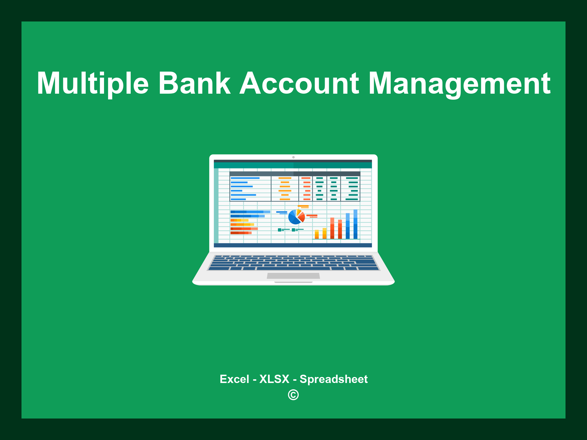 Multiple Bank Account Management Excel Template
